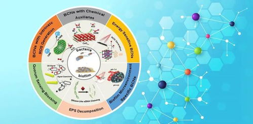 生物催化納米抗菌材料的結構設計與應用 四川大學程沖研究員課題組《Adv. Mater.》研究進展