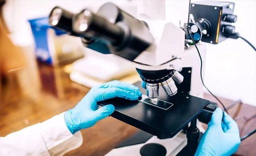 石墨炔 寬帶飽和吸收與瞬態吸收特性的納米材料新星